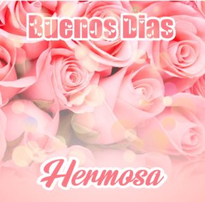 buenos dias mi amor